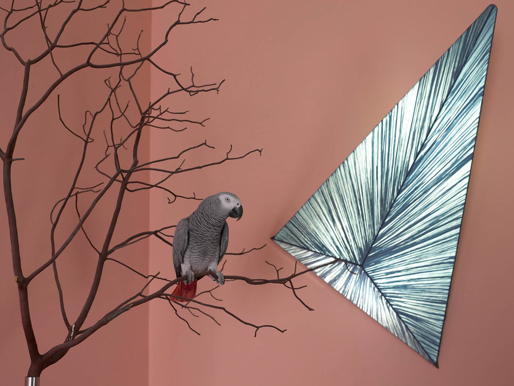 Zooid Wall & Ceiling Light