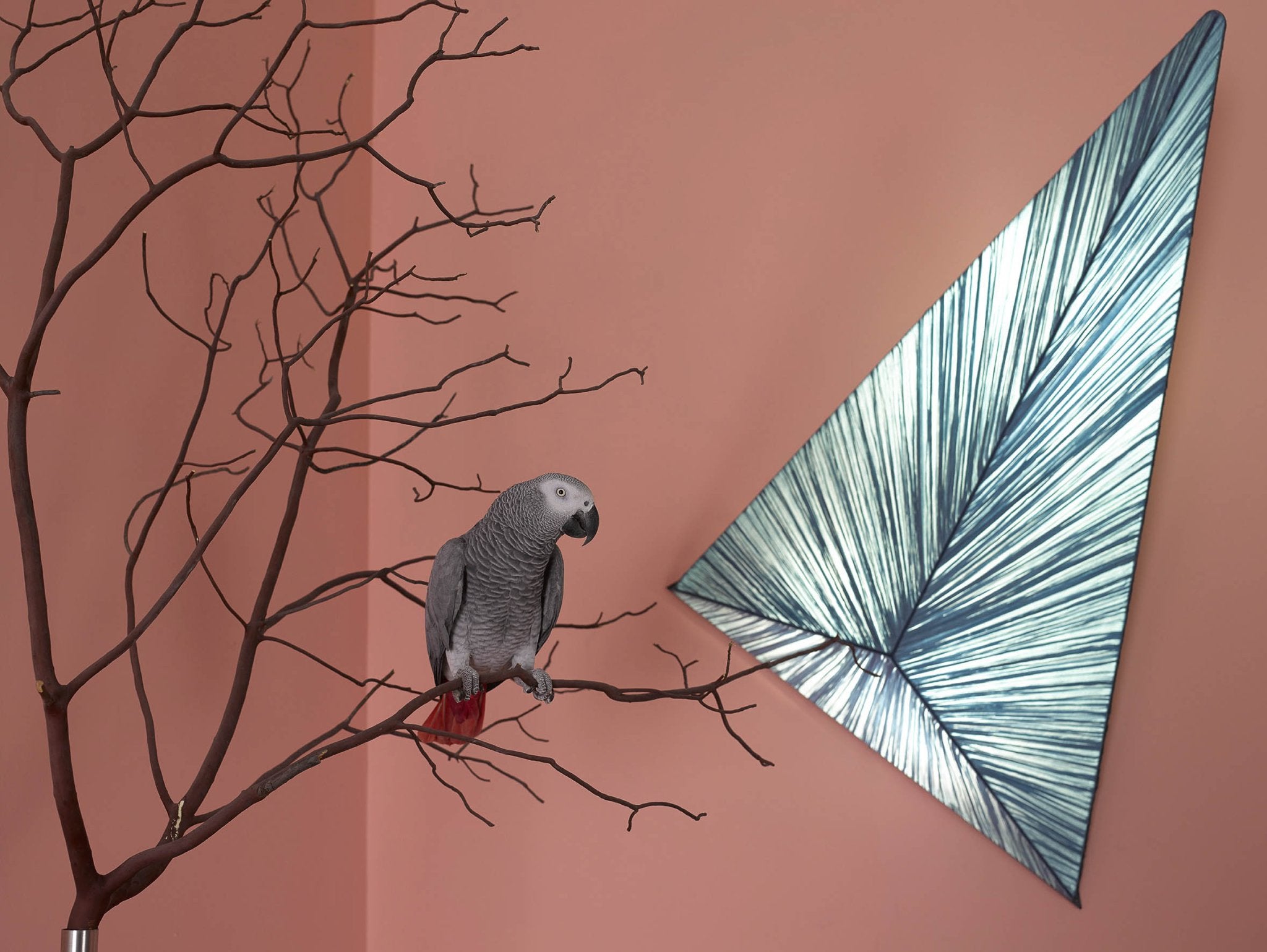 Zooid Wall & Ceiling Light