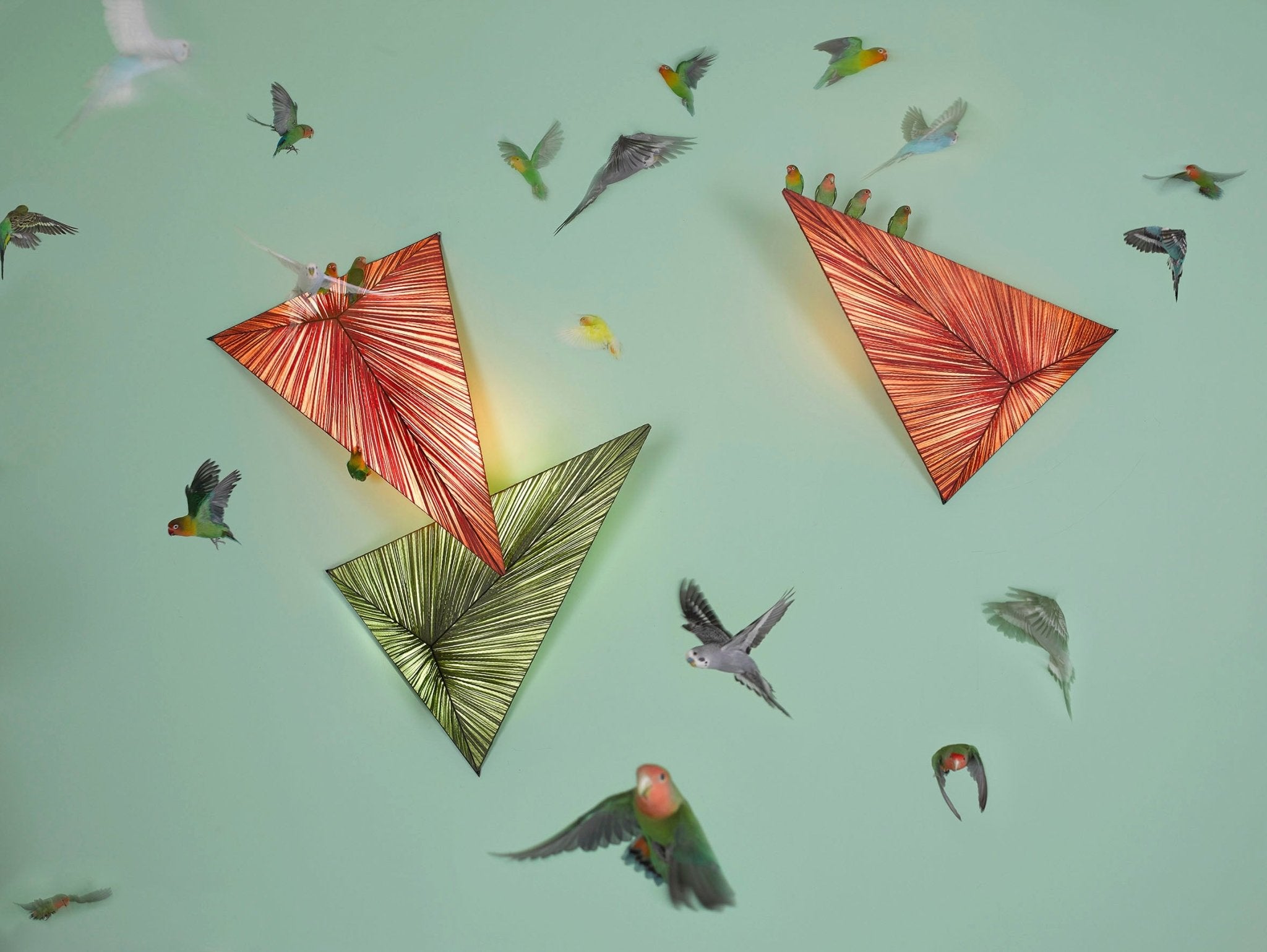 Zooid Wall & Ceiling Light