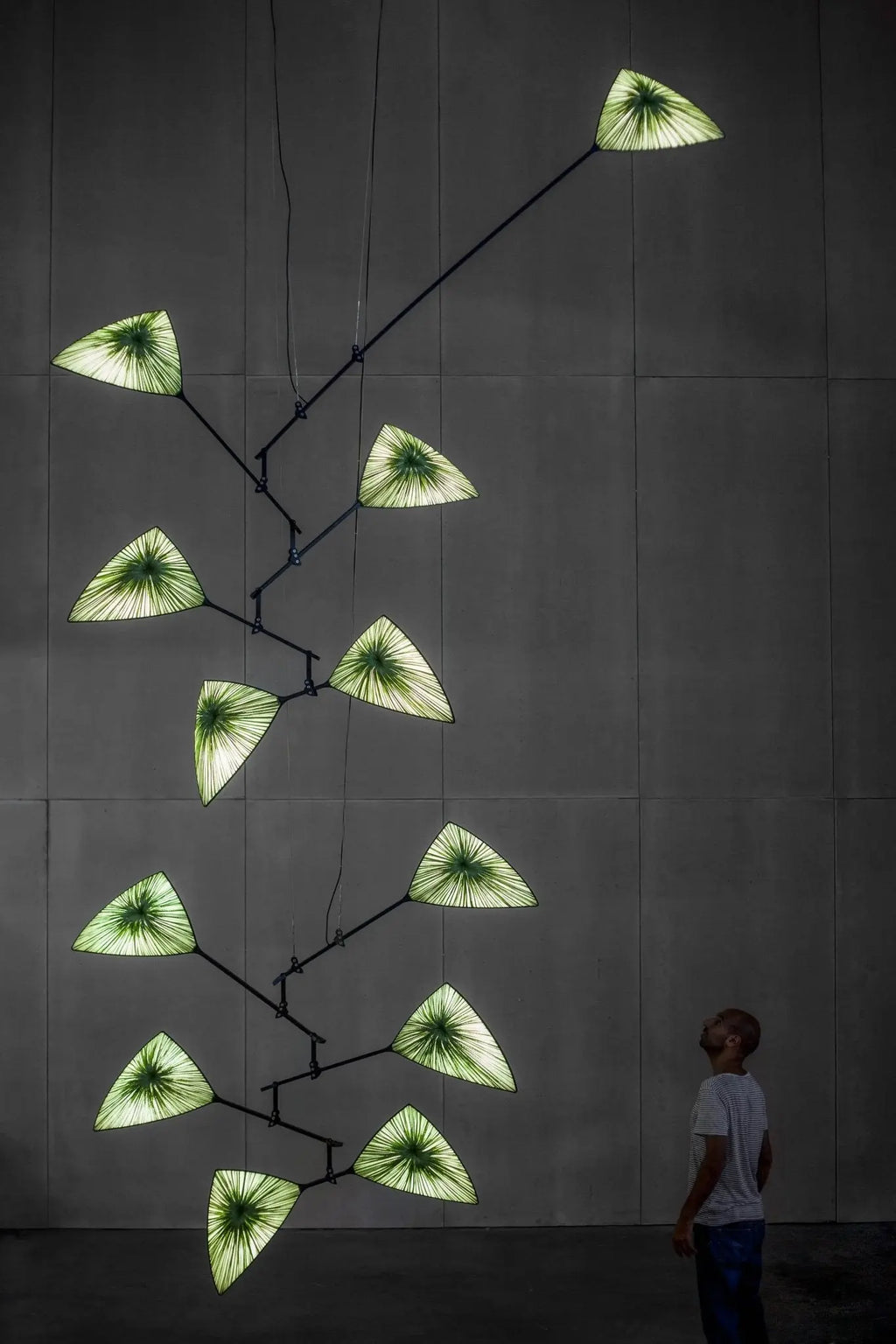 Avia by Aqua Creations Luminary Design Studio