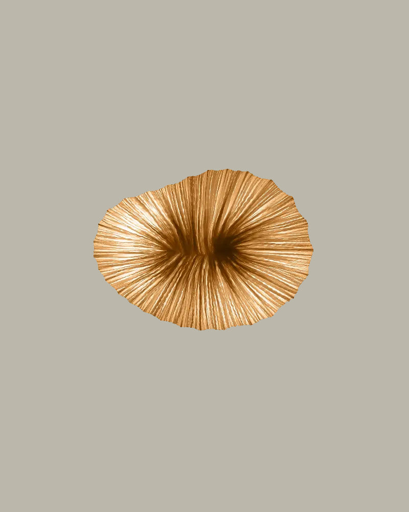 Baby Coral Wall & Ceiling Light by Aqua Creations Luminary Design Studio