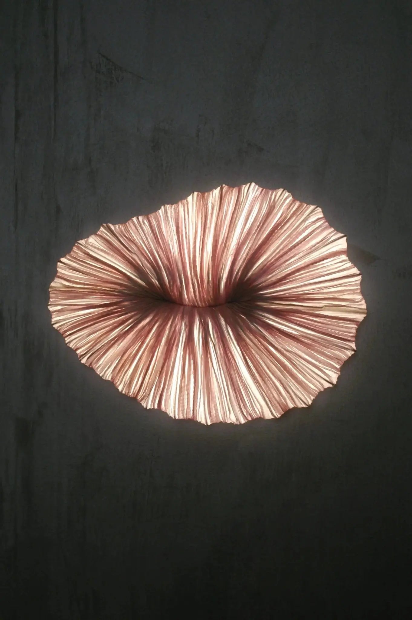 Baby Coral Wall & Ceiling Light