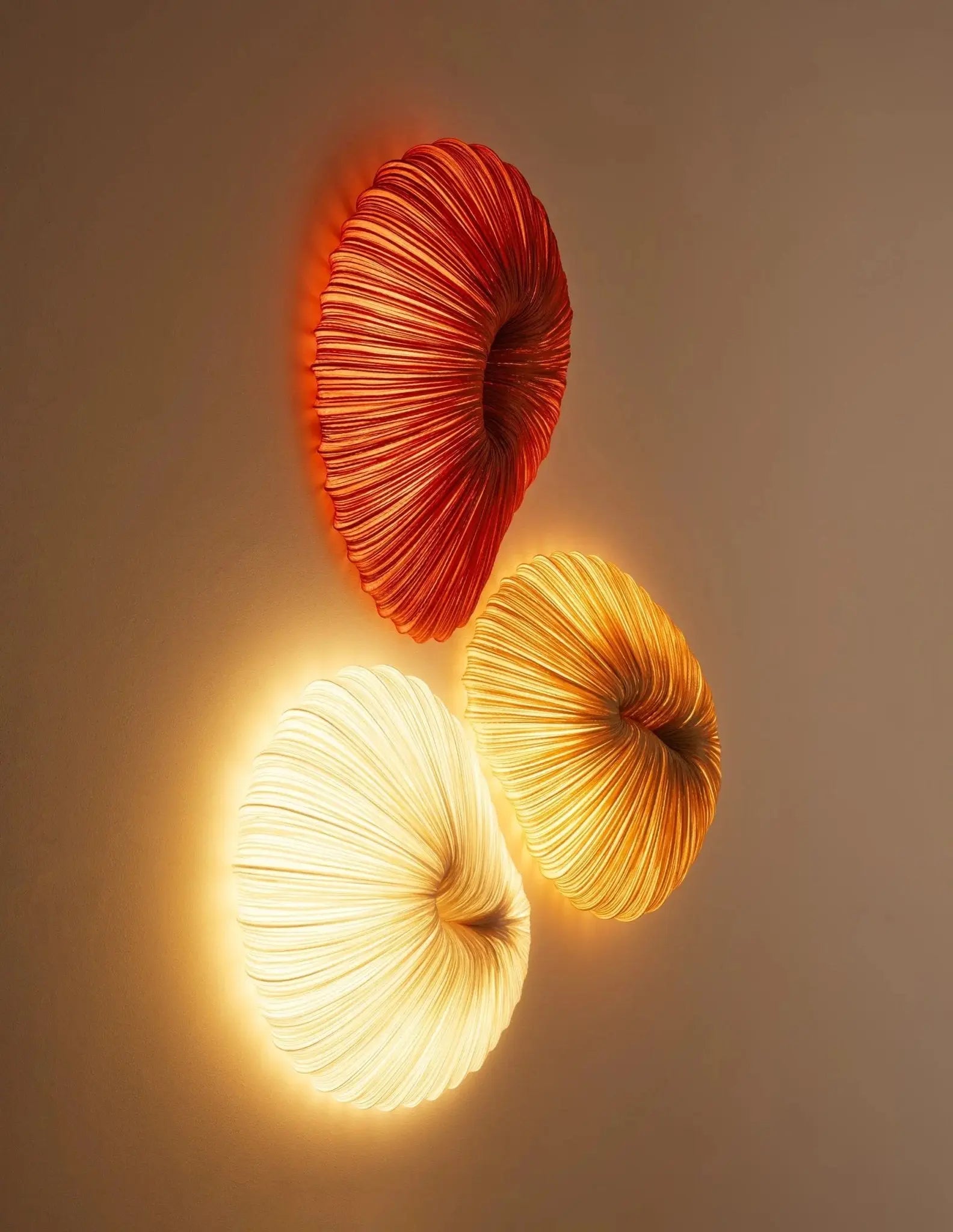 Coral Wall & Ceiling Light
