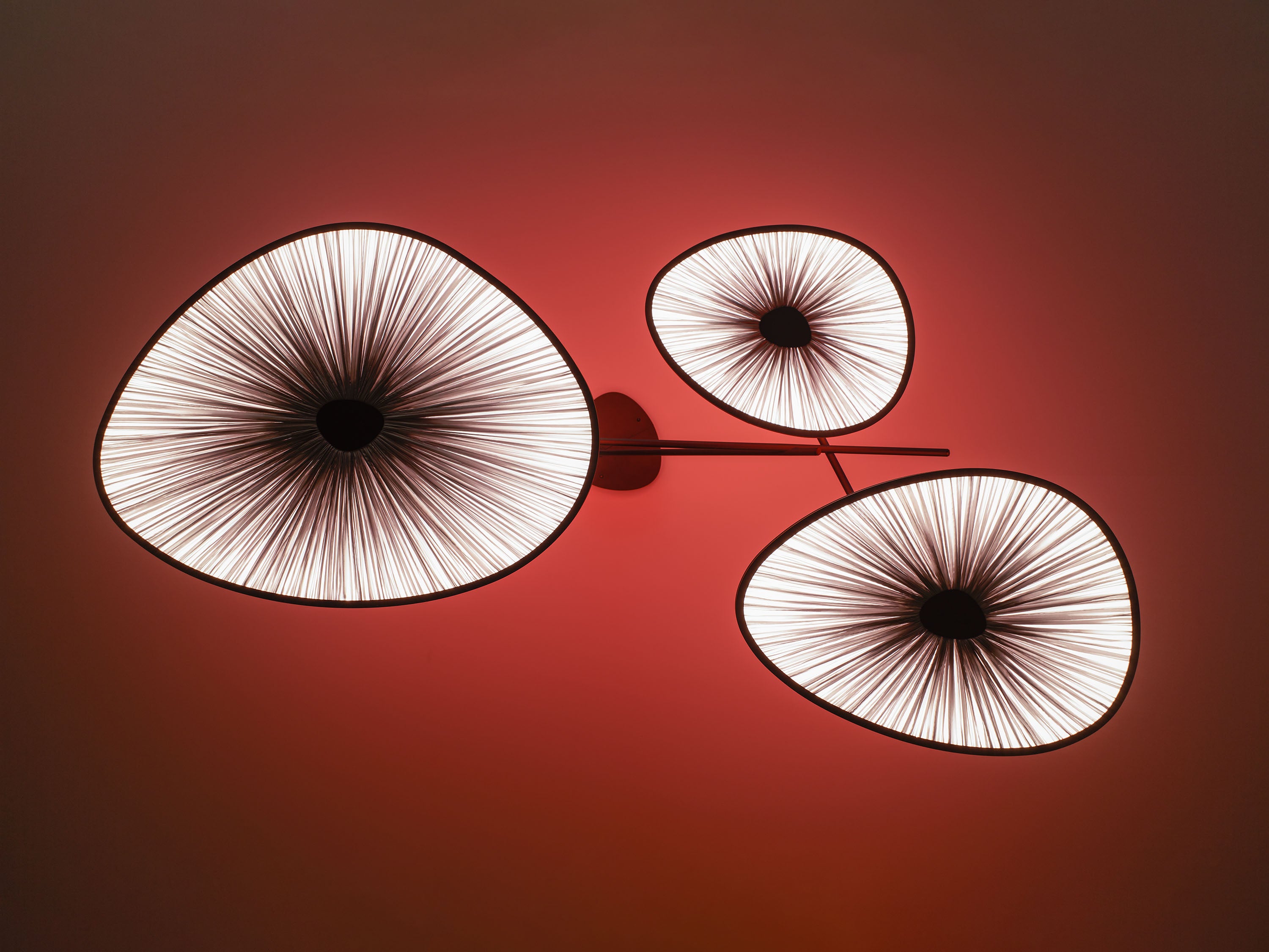 Lake Doiran Ceiling Light 3 by Aqua Creations Luminary Design Studio