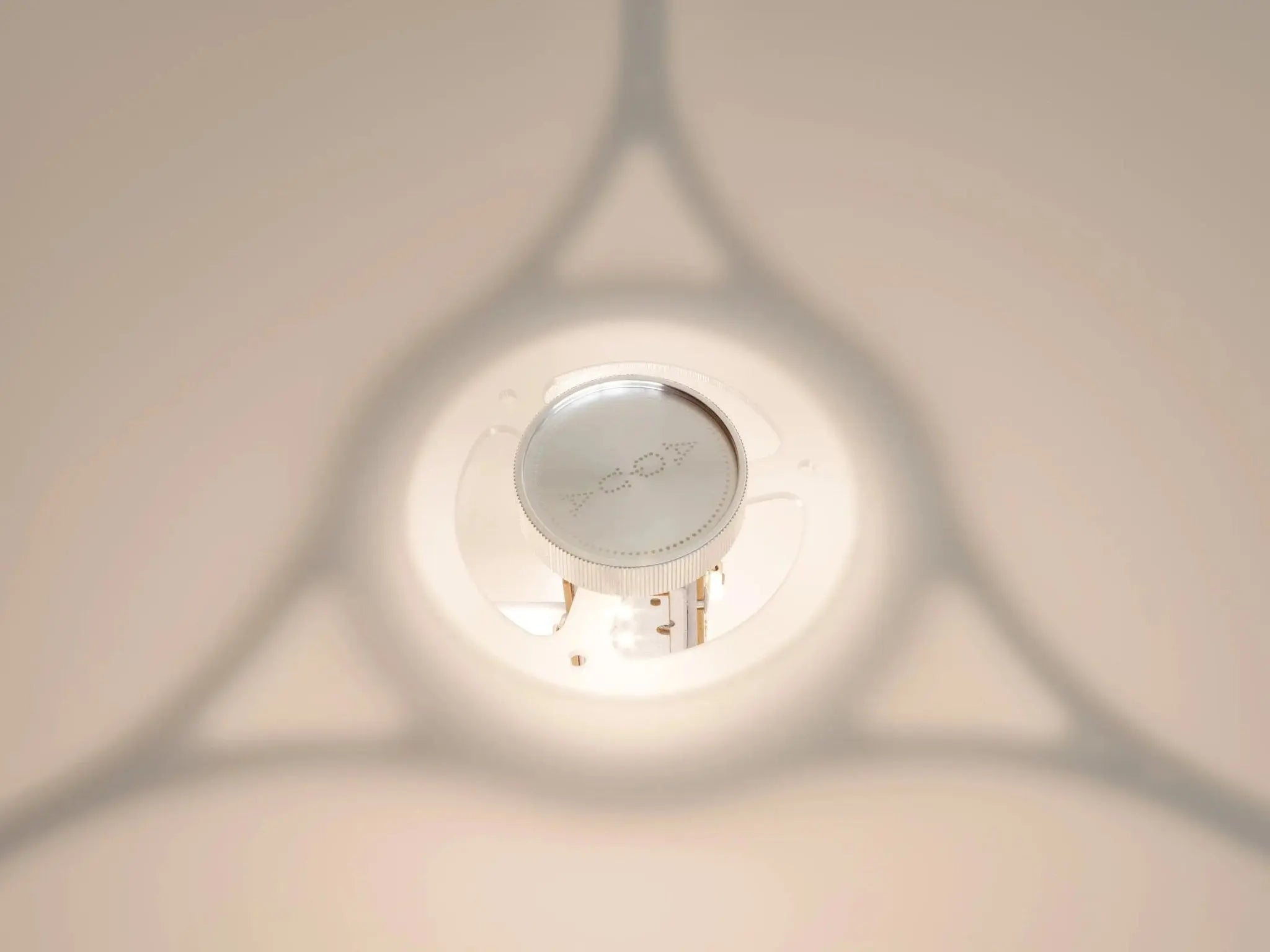 Morning Glory Floor Lamp - Anniversary Edition by Aqua Creations Luminary Design Studio