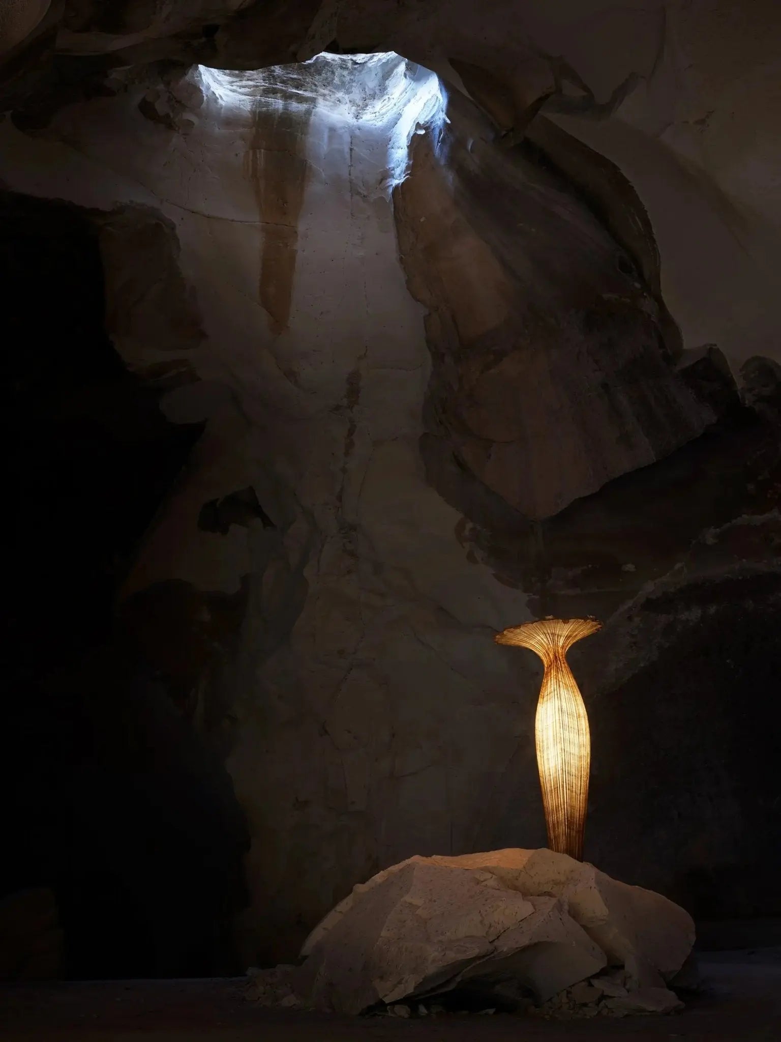 Morning Glory Floor Lamp - Anniversary Edition by Aqua Creations Luminary Design Studio