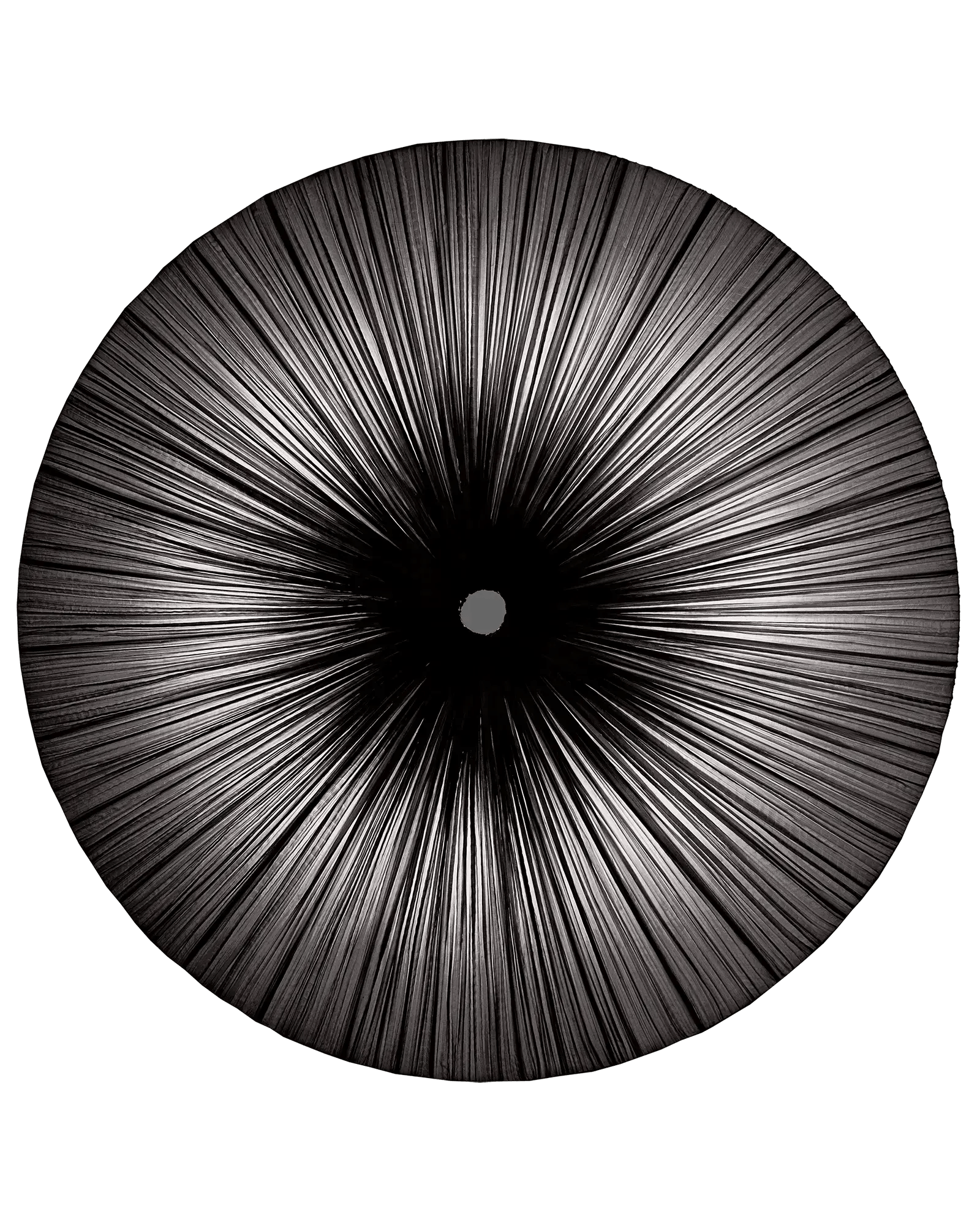 Stand By Pendant Light 72"