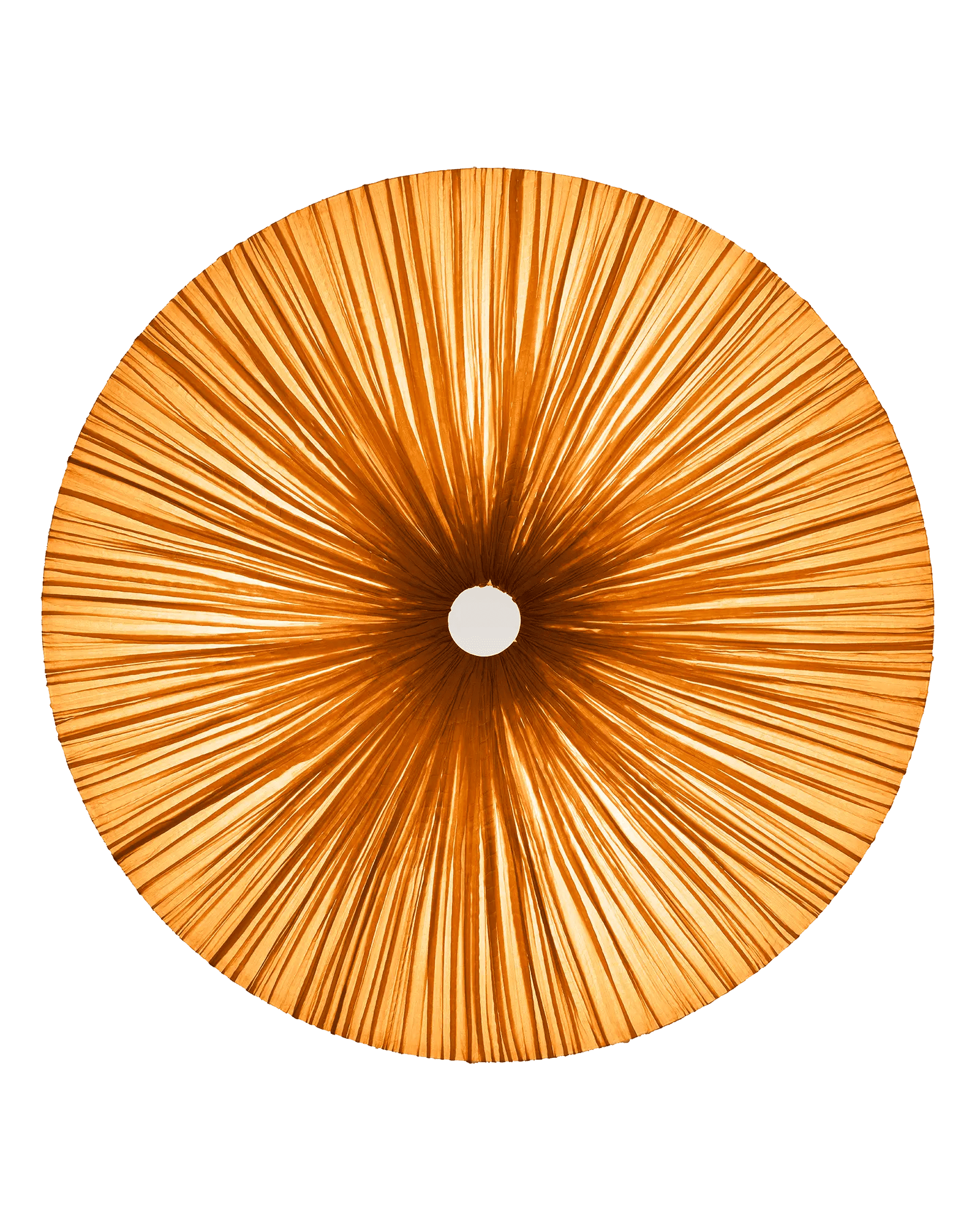 Stand By Wall & Ceiling Light 30"