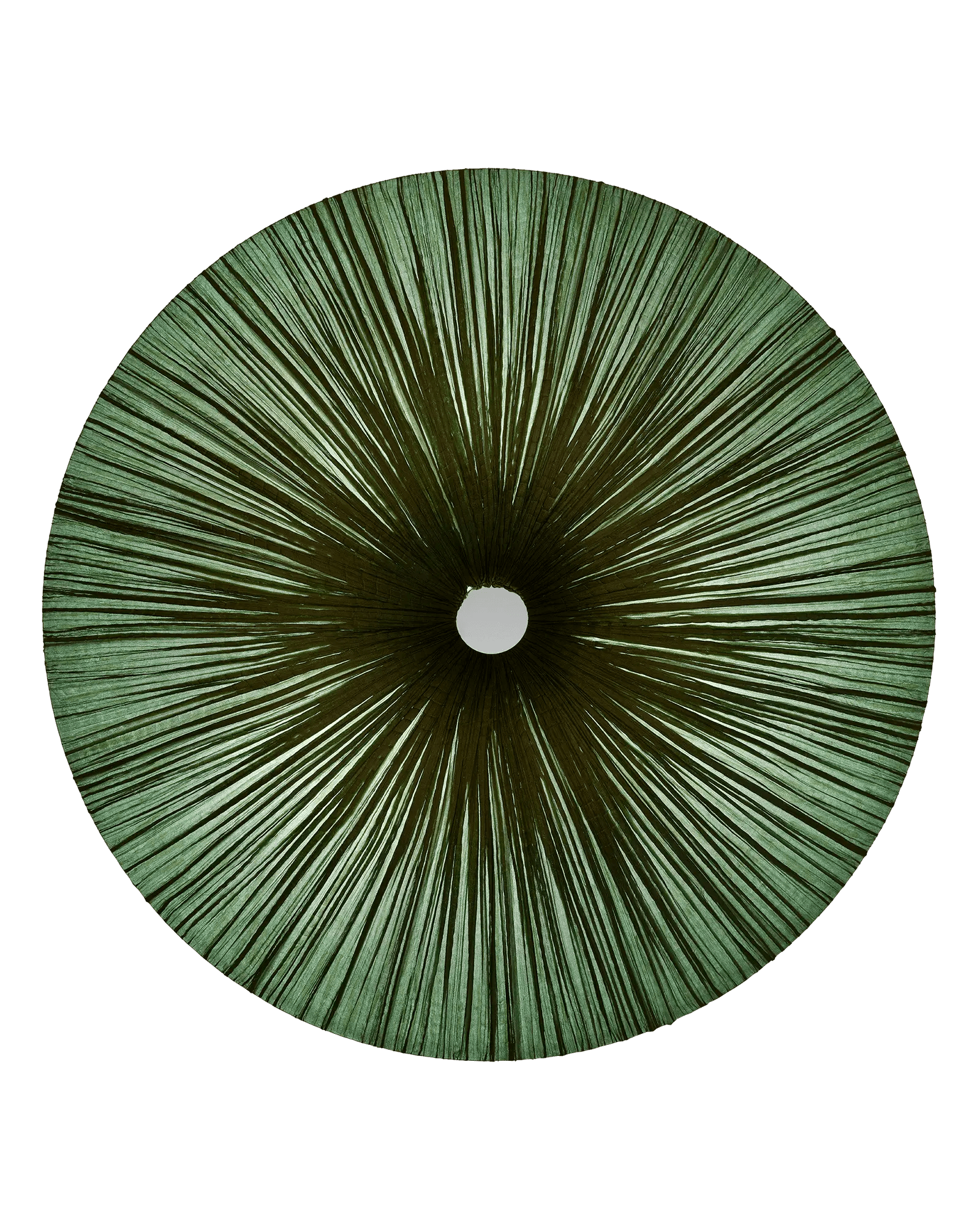 Stand By Wall & Ceiling Light 48"