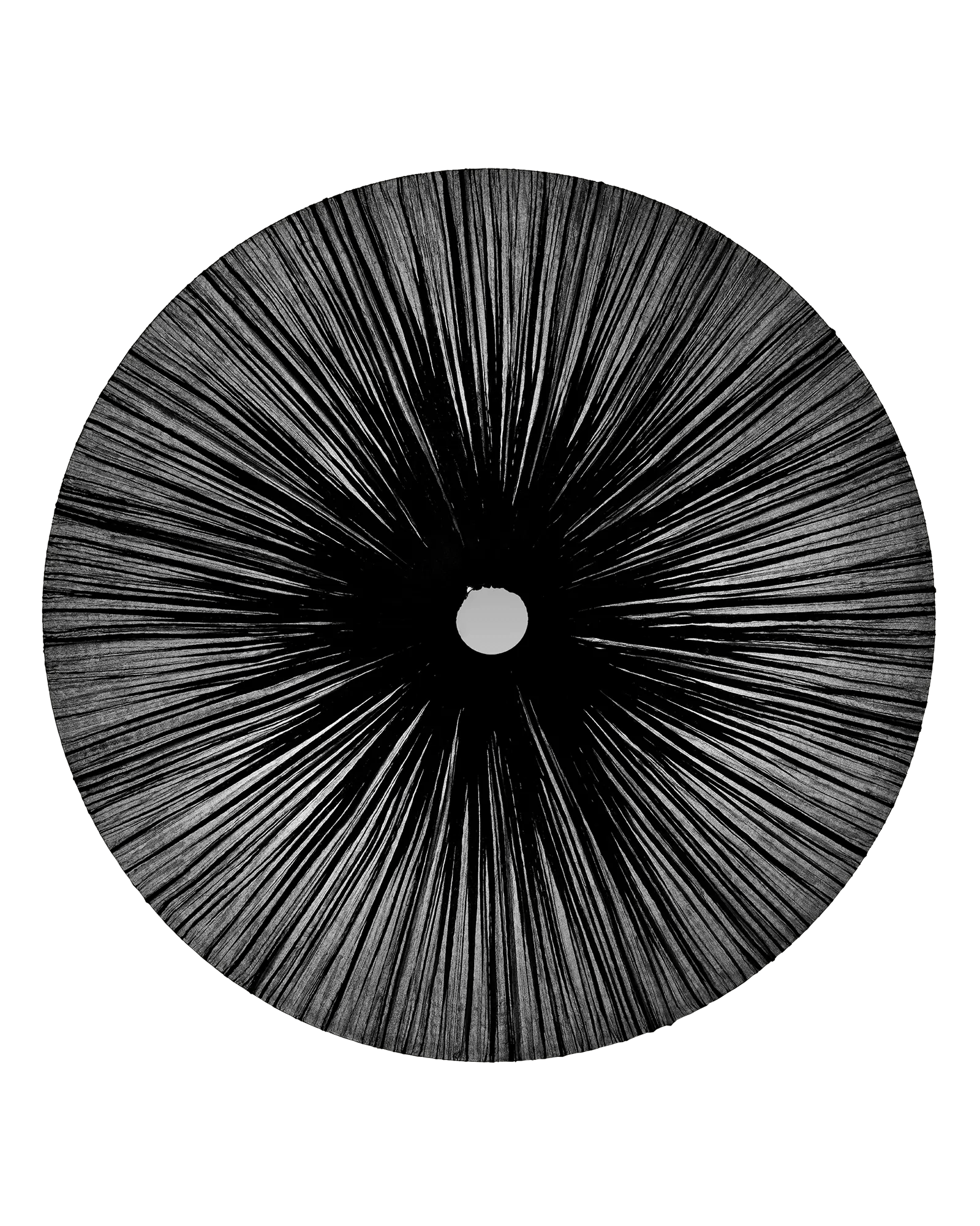 Stand By Wall & Ceiling Light 61"