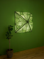 Zooid Wall n Grass silk color