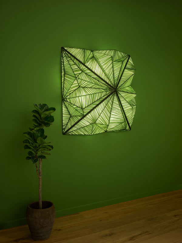 Zooid Wall n Grass silk color
