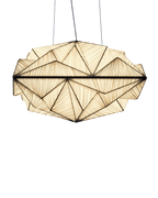 Zooid 1M Pendant Light