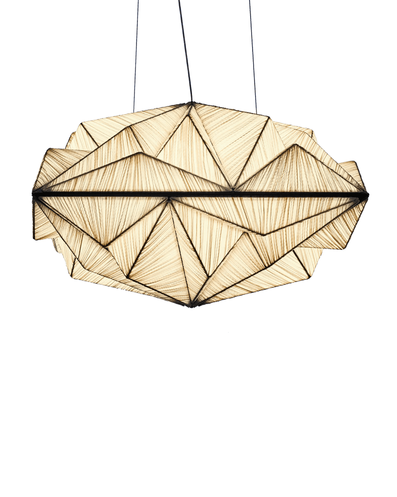 Zooid 1M Pendant Light