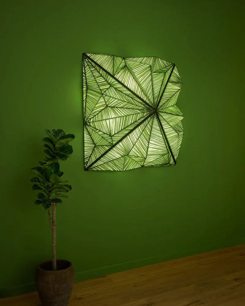 Zooid 1M Wall & Ceiling Light by Aqua Creations Luminary Design Studio