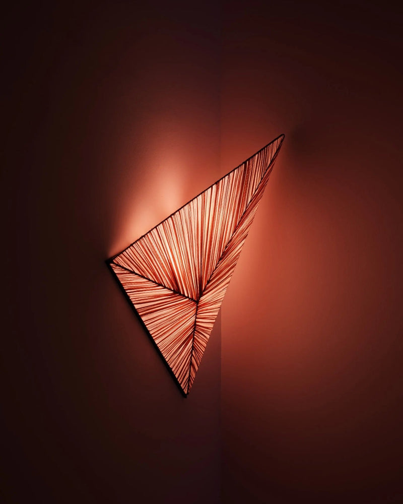 Zooid Wall & Ceiling Light by Aqua Creations Luminary Design Studio
